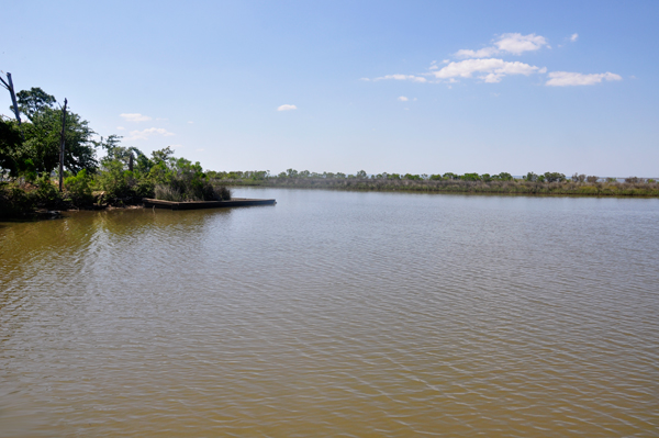 Bayou Heron Park 